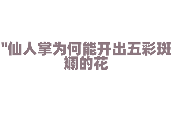 "仙人掌为何能开出五彩斑斓的花？"